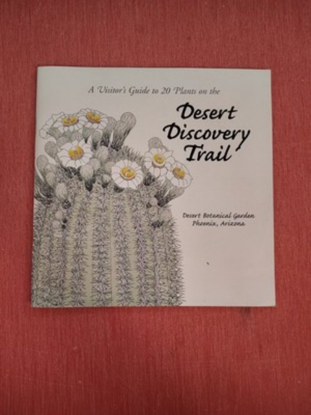 A Visitor's Guide to 20 Plants on the Desert Discovery Trail PB botany Phoenix
